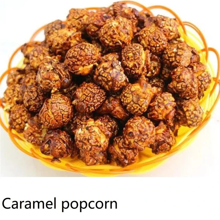 Multi-flavor Popcorn Production Line